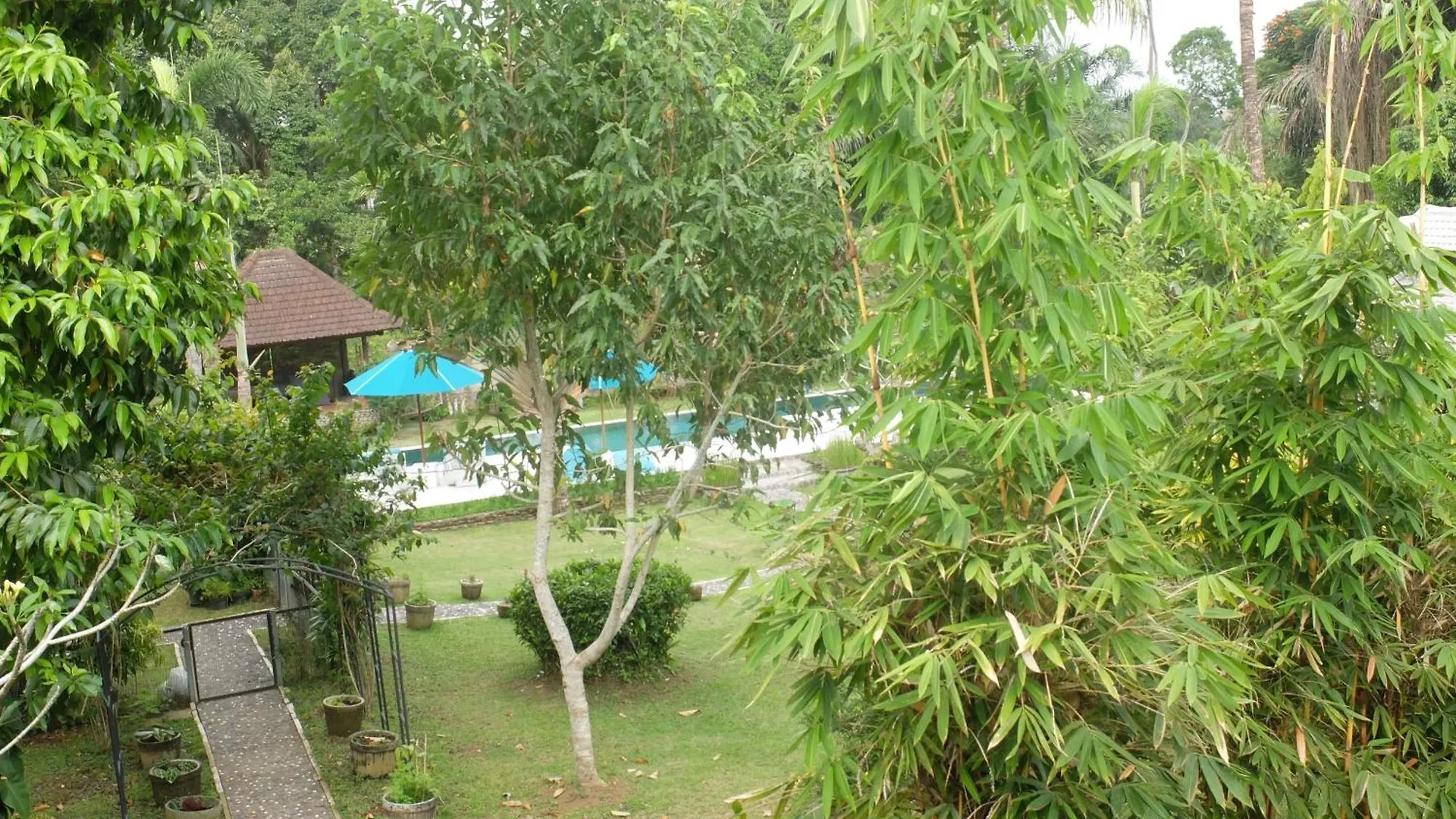 Holiday home Orchid View Villa, 1Bed Large Pool Near Central Ubud