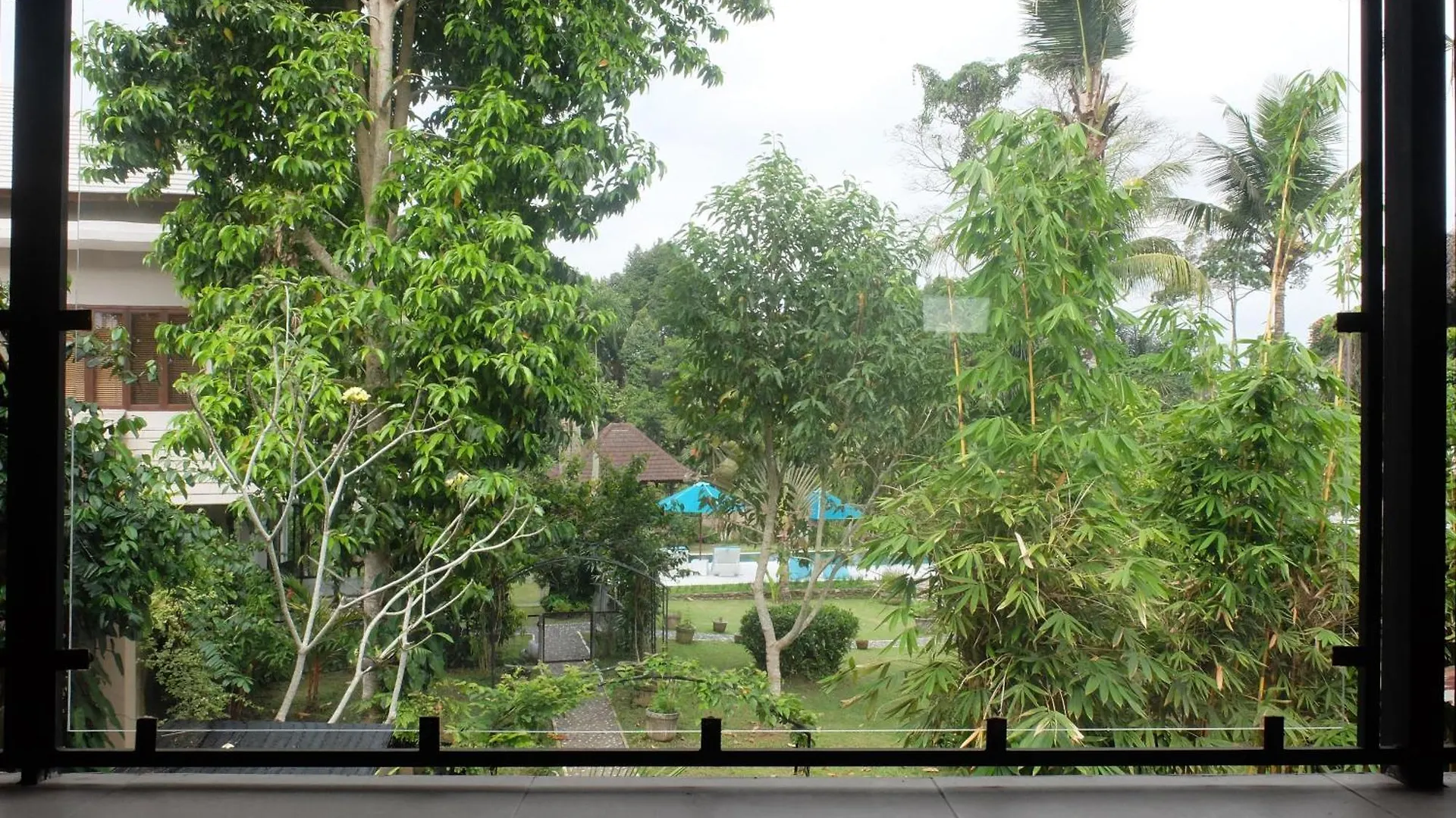 Orchid View Villa, 1Bed Large Pool Near Central Ubud Indonesia